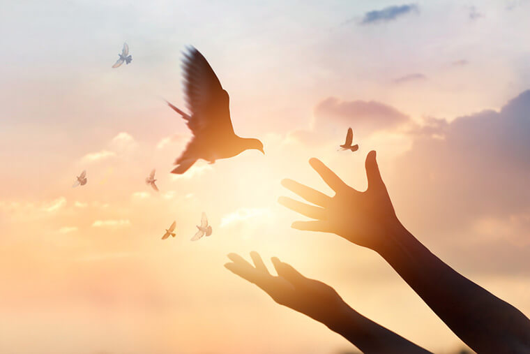 春の肌バリア強化マニュアル 花粉と紫外線に負けない肌作りの新常識