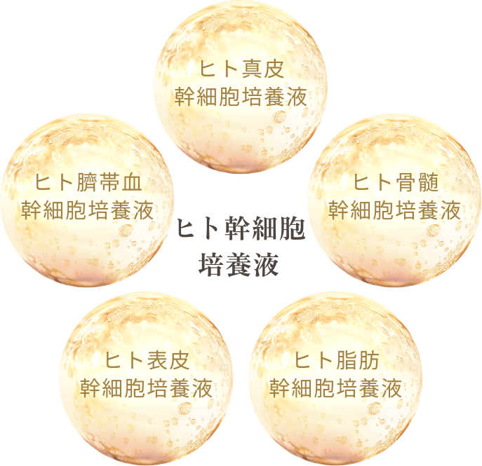 5種類のヒト幹細胞培養液のイメージ