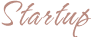 startup
